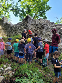 Ruine_Neuburg2
