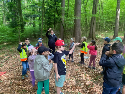 Waldtag1a_2_
